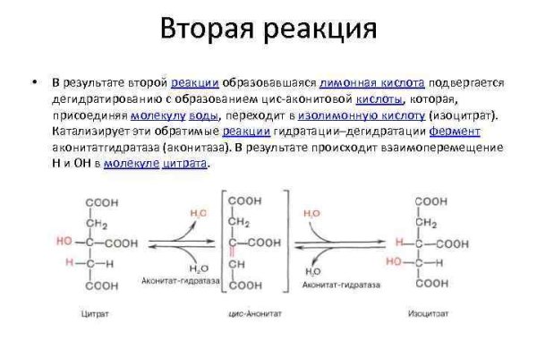 Действующая ссылка на кракен