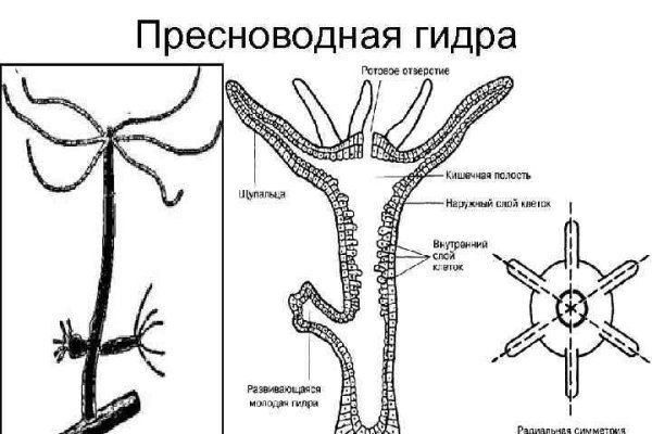 Ошибка на сервере кракен